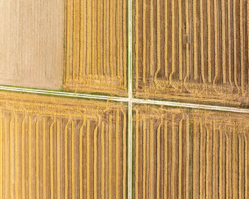 2025年华北地区小麦玉米轮作复合肥配比方案与肥效对比分析正文配图 1